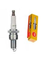 1 - 2024-09-30T130119.446