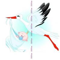 Изображение загружено обработкой из каталога сайта