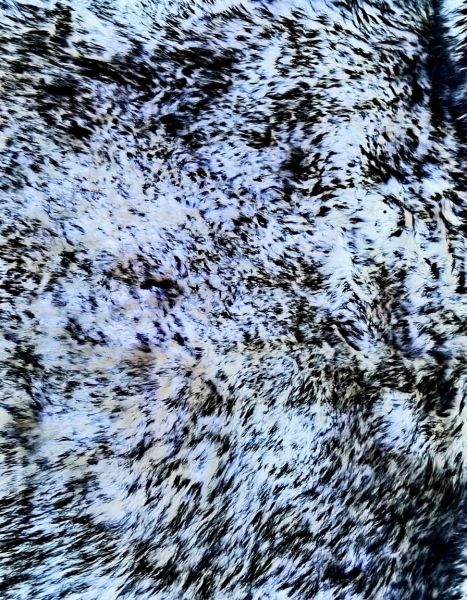 photo_2025-11-18_11-00-50